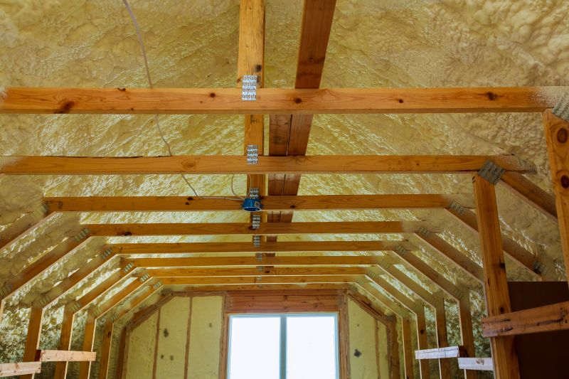 Insulation Service in Georgetown, TX